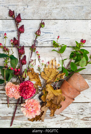 autumn flowers and berries on a rustic surface Stock Photo