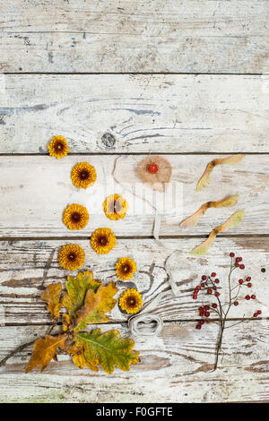 autumn flowers, leaves and seeds on rustic wooden surface Stock Photo