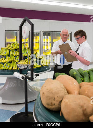 Salt Lake City, Utah - A volunteer is trained to work at the Bishop's Storehouse (food pantry) at the Mormons' Welfare Square. Stock Photo