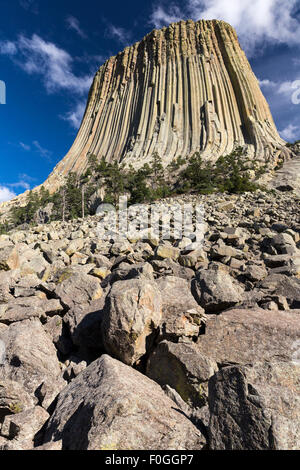 Basalt column of Devils Tower National Monument in Wyoming rising above scree pile. Stock Photo