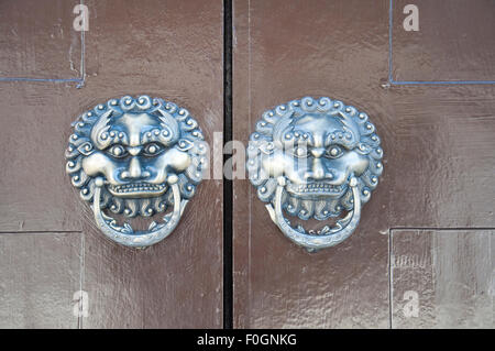 Lion type knocker Stock Photo