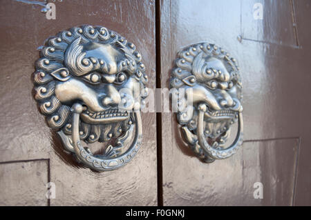 Lion type knocker Stock Photo