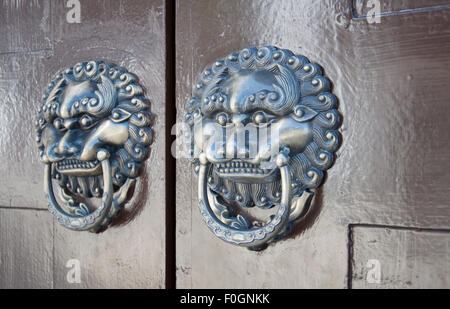 Lion-type knocker Stock Photo