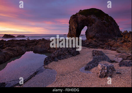 Horsehead Rock near Bermagui, NSW Australia Stock Photo