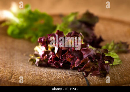 Red leaf coral lettuce over wooden timber Stock Photo