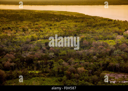 Secondary forest and land cleared for small-scale agriculture on Amazon RIver, near Iquitos, Amazon Rainforest, Peru Stock Photo