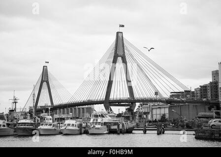 Anzac bridge in Sydney, Australia. Stock Photo