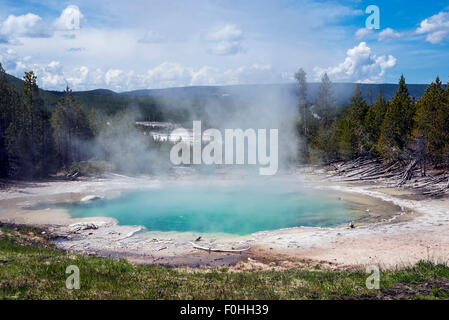 Pool in Emerald Spring - hot spring located in Norris Geyser Basin of Yellowstone National Park.k, Wyoming, USA. Stock Photo