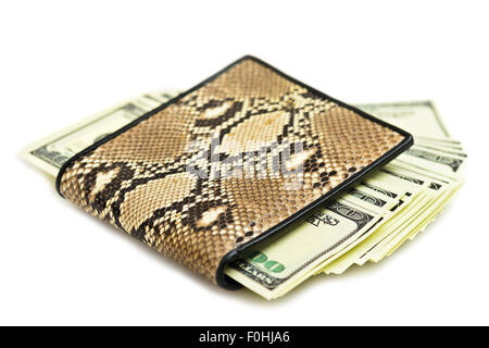 Money in snake leather purse isolated on white background Stock Photo