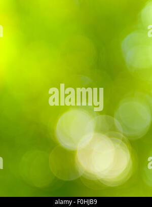 natural green light blur background Stock Photo