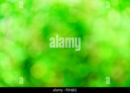 Green blurred background and sunlight Stock Photo