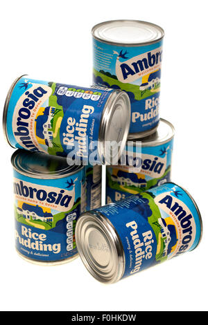 Six cans of Ambrosia Rice Pudding Stock Photo