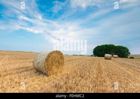 Stubble field with straw bales. Beautiful summertime rural landscape photographed in Poland. Stock Photo