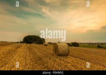 Stubble field with straw bales. Beautiful summertime rural landscape photographed in Poland. Stock Photo