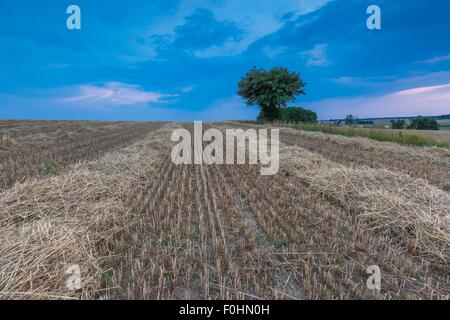 Stubble field with straw bales. Beautiful summertime rural landscape photographed in Poland. Stock Photo