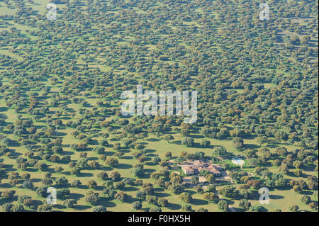 Aerial image of farm building surrounded by  Dehesa forest, Salamanca Region, Castilla y Leon, Spain, May 2011 Stock Photo