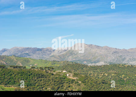 The View of El Tajo from Alameda Del Tajo and Calle Virgen de la Paz in Ronda in Andalusia, Spain Stock Photo