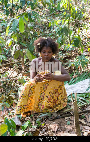 Woman of the Orang Asil tribe sitting in the jungle, natives, indigenous people, tropical rainforest, Taman Negara, Malaysia Stock Photo