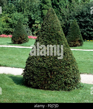 Kegelfoermig hi-res stock photography and images - Alamy