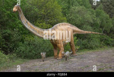 Diplodocus a large herbivorous extinct sauropod dinosaur of the ...