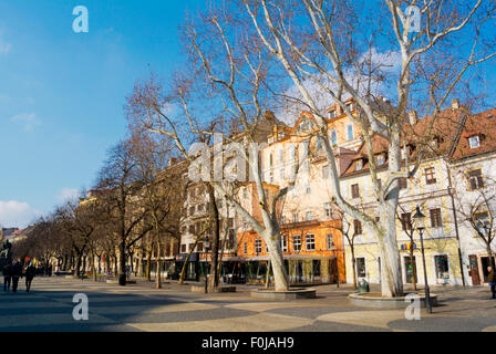 Hviezdoslavovo námestie, main square in winter, Old town, Bratislava, Slovakia, Europe Stock Photo