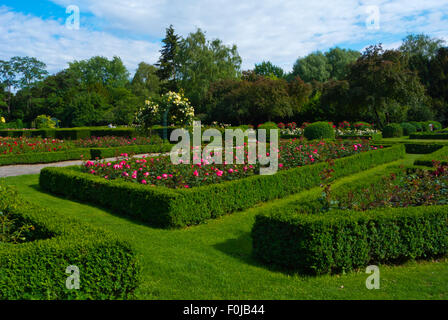 Rose garden, Volkspark Humboldthain, Gesundbrunnen district, Berlin, Germany Stock Photo