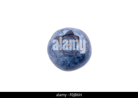 One blueberry isolated on white background Stock Photo
