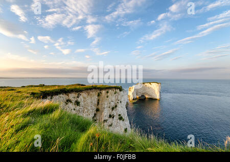 Old Harry Rocks, steep chalk cliffs and sea stacks near Swanage on Dorset's Jurassic Coast Stock Photo