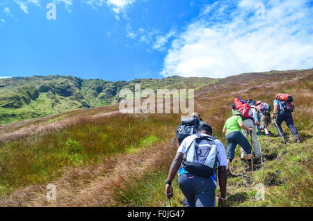 Tourists during the ascent of Mount Cameroon (Mount Fako), the highest summit of West Africa Stock Photo