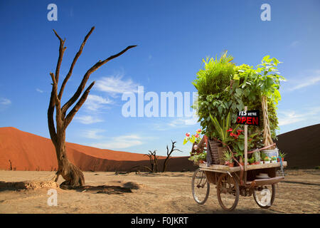 Illustration of a cyclist riding his bike on the dry pan of Sossusvlei in Namibia and carrying  flowers and plants Stock Photo