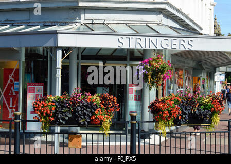 Row of colourful hanging baskets and window boxes outside a shop in Lytham, Lancashire Stock Photo