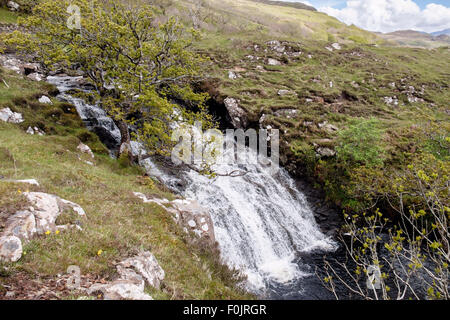 Eas Fors waterfall on river Allt an Eas Fors. Isle of Mull Argyll and Bute Inner Hebrides Western Isles Scotland UK Britain Stock Photo