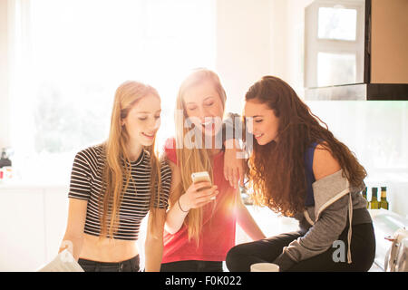 Teenage girls texting with cell phone in sunny kitchen Stock Photo