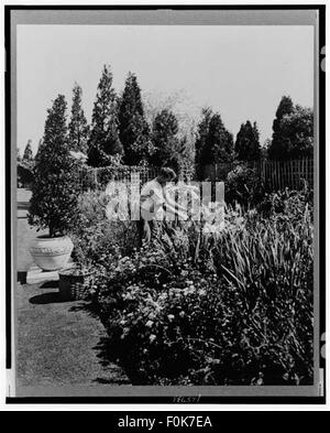 [Gardener tending floral border, posed to illustrate Rudyard Kipling's Stock Photo