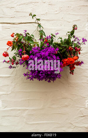 Colourful flower baskets hanging on a pub in Cornwall Stock Photo