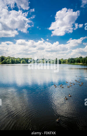 Emley Moor Transmitter seen from Lower Lake at Yorkshire Sculpture Park. Stock Photo