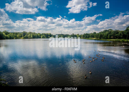 Emley Moor Transmitter seen from Lower Lake at Yorkshire Sculpture Park. Stock Photo