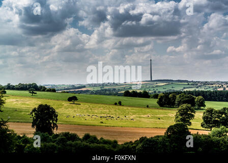 Emley Moor Transmitter seen from Oxley Bank, Yorkshire Sculpture Park. Stock Photo