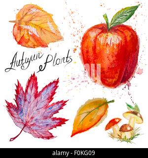 Vector autumn leaves, mushrooms and apple Stock Vector