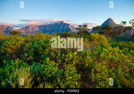 The sun sets over South Africa's Signal Hill, so named for the signal flags it used to warn visiting ships of weather trouble. Stock Photo