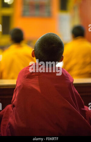 Unidentified group of children monks learning in a monastery, Kathmandu, April 20, 2013 Stock Photo