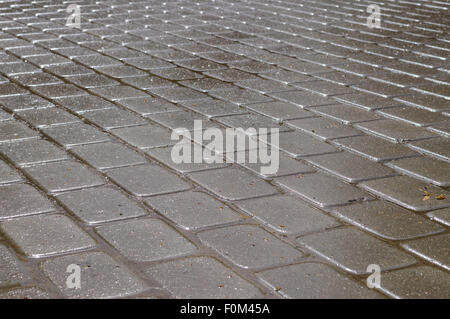 Shining wet rectangular tiled stone pavement in diagonal layout Stock Photo
