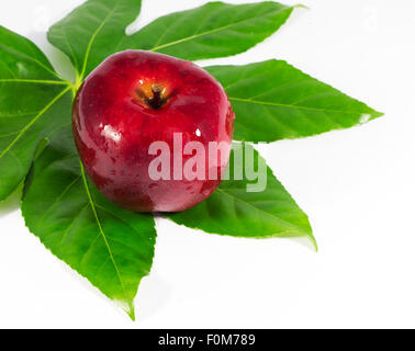 Red apple with a leaf isolated Stock Photo