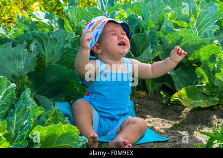 charming crying caucasian baby boy in cabbage bed Stock Photo