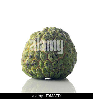 Ripened Custard Apple On White Background Shot in Studio. Stock Photo