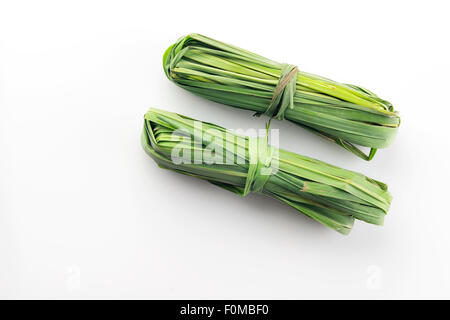 Two Bunches of Fresh Green Lemon Grass Shot in Studio on White Background Stock Photo