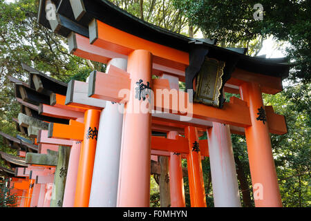 Senbon Torii (1,000 Torii gates), Fushimi Inari Taisha shrine, Kyoto, Japan, Asia Stock Photo