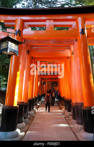 Senbon Torii (1,000 Torii gates), Fushimi Inari Taisha shrine, Kyoto, Japan, Asia Stock Photo