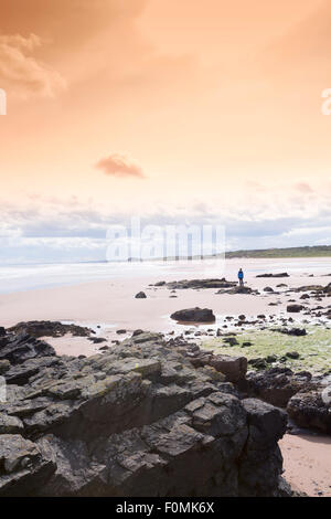 A boy standing on a rocky shoreline at Forvie Sands North Sea beach near Hackley Bay, at Ellon in Aberdeenshire, Scotland Stock Photo