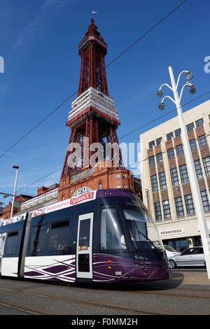 Modern Blackpool tram passing in front of the iconic Blackpool Tower Stock Photo
